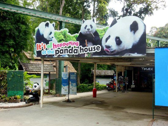 Zoológico de Chiang Mai